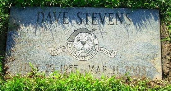 tumba stevens